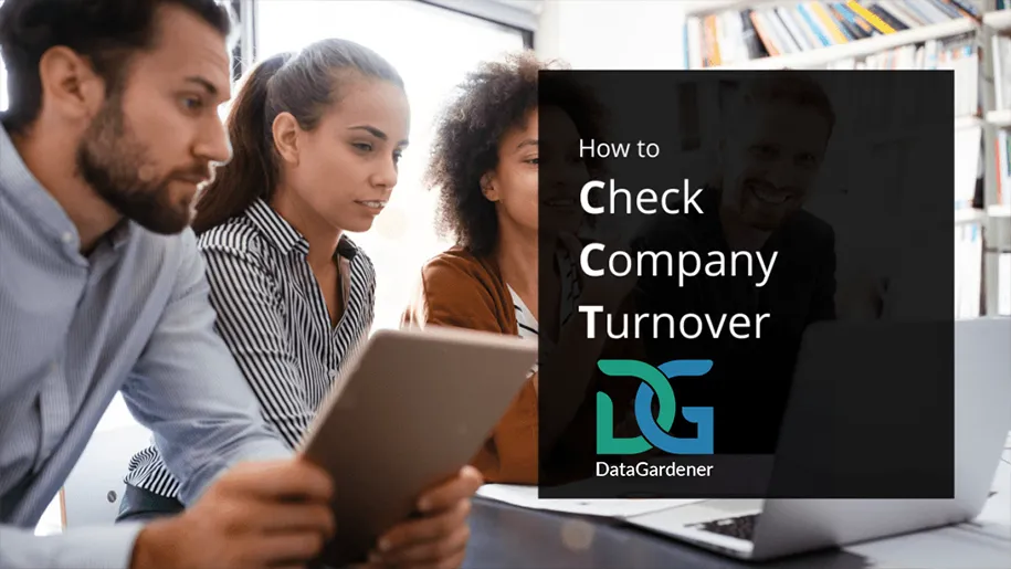 How to Check Company Turnover ? Deadline for filing Accounts