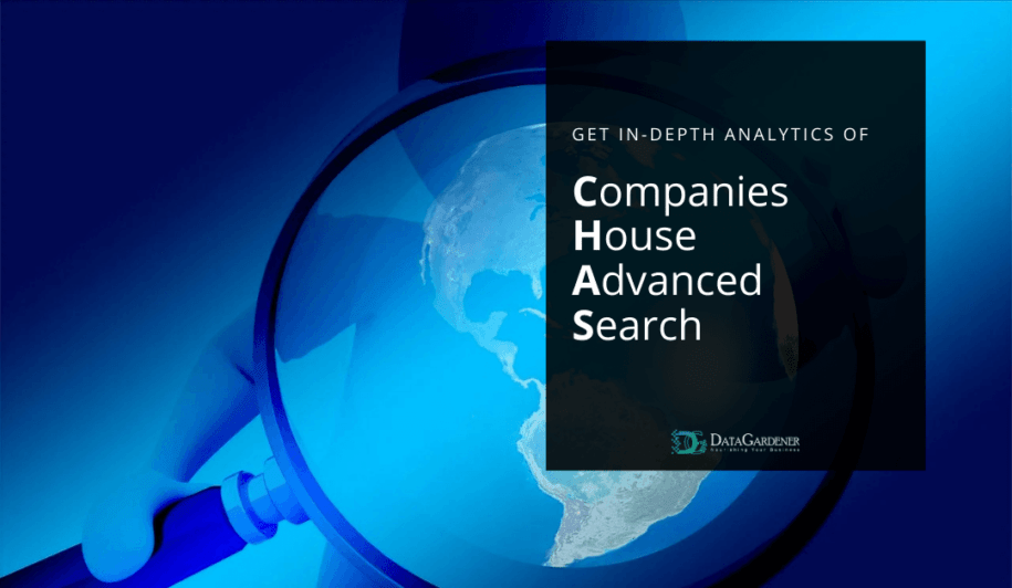 Companies House advanced search analytics