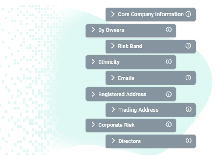 Advanced prospecting platform with filters for risk band, directors, emails and company data to empower sales teams