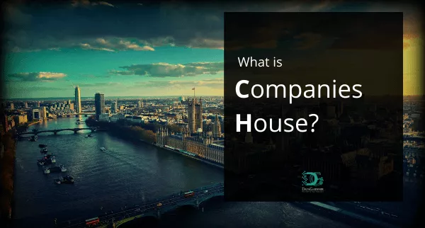 Companies House company check explained