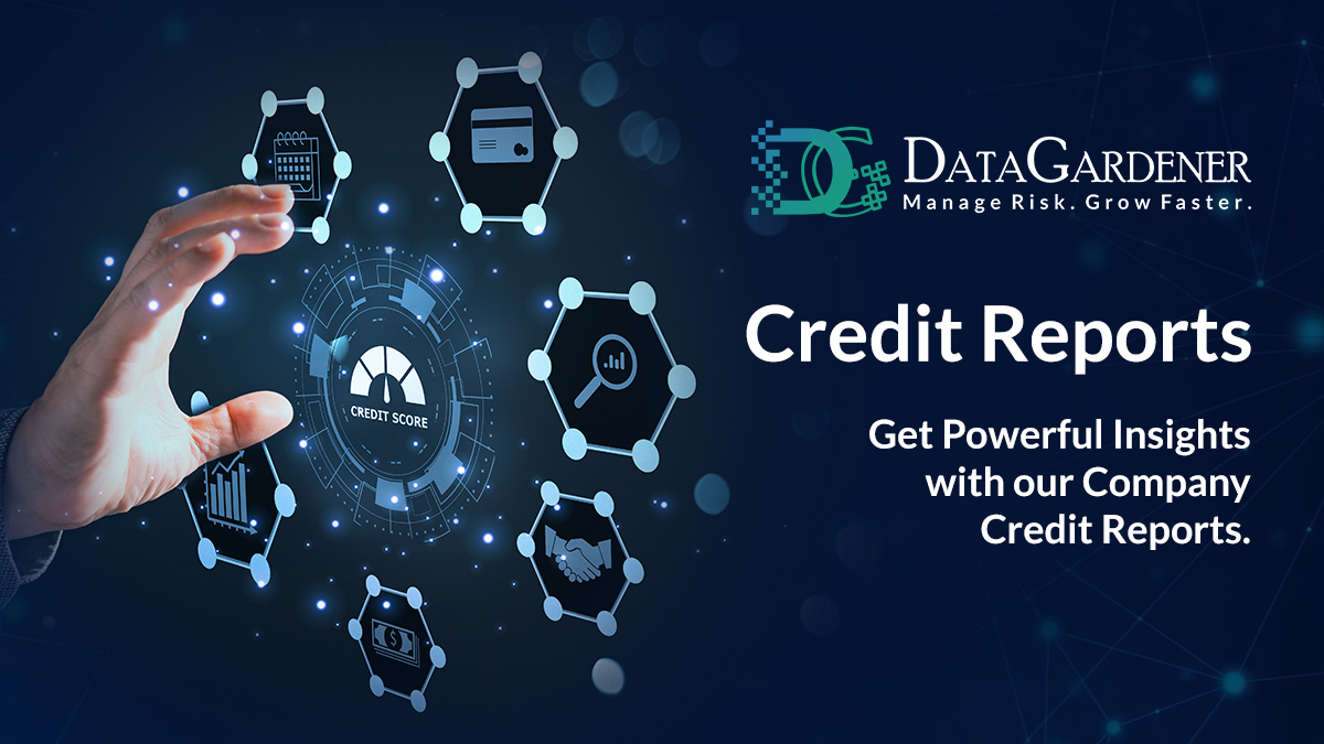 company-credit-report-uk-company-credit-check