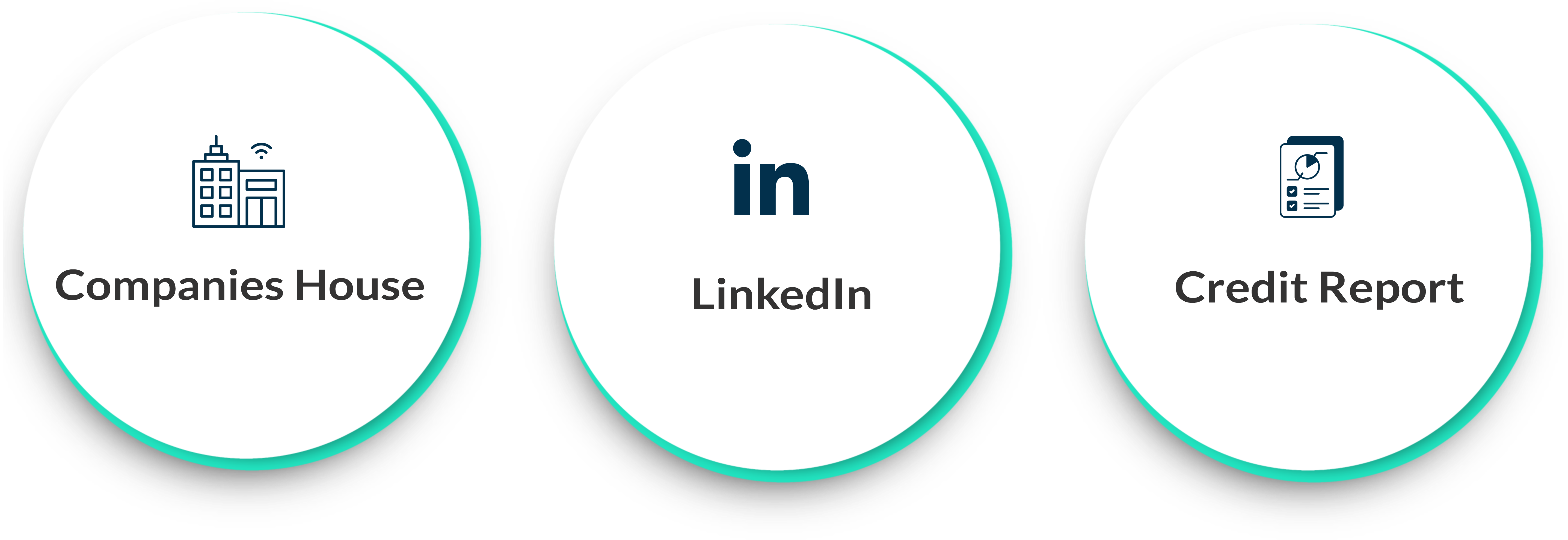 How to Get Information about a Company Director - Director Search