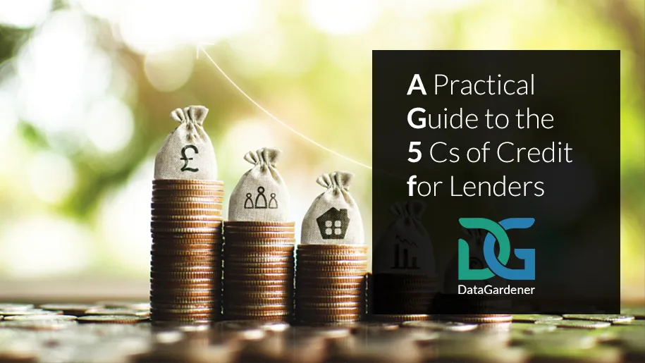 A Practical Guide to the 5 Cs of Credit for Lenders