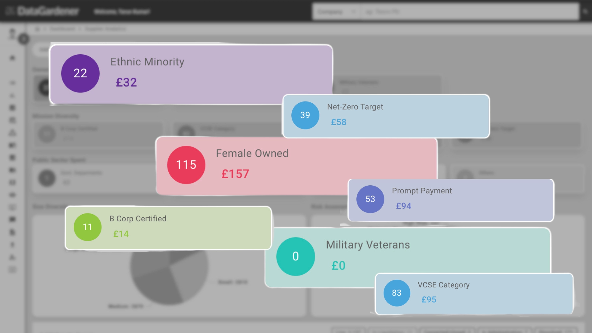 DataGardener diversity dashboard showing female-owned, ethnic minority, B Corp, net-zero and VCSE suppliers
