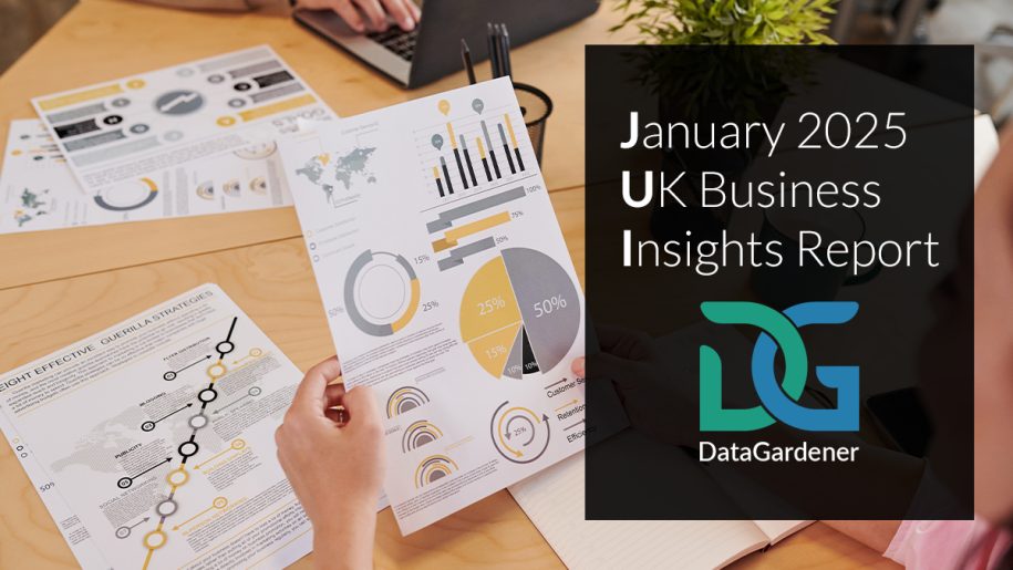 January 2025 UK Business Insights Report