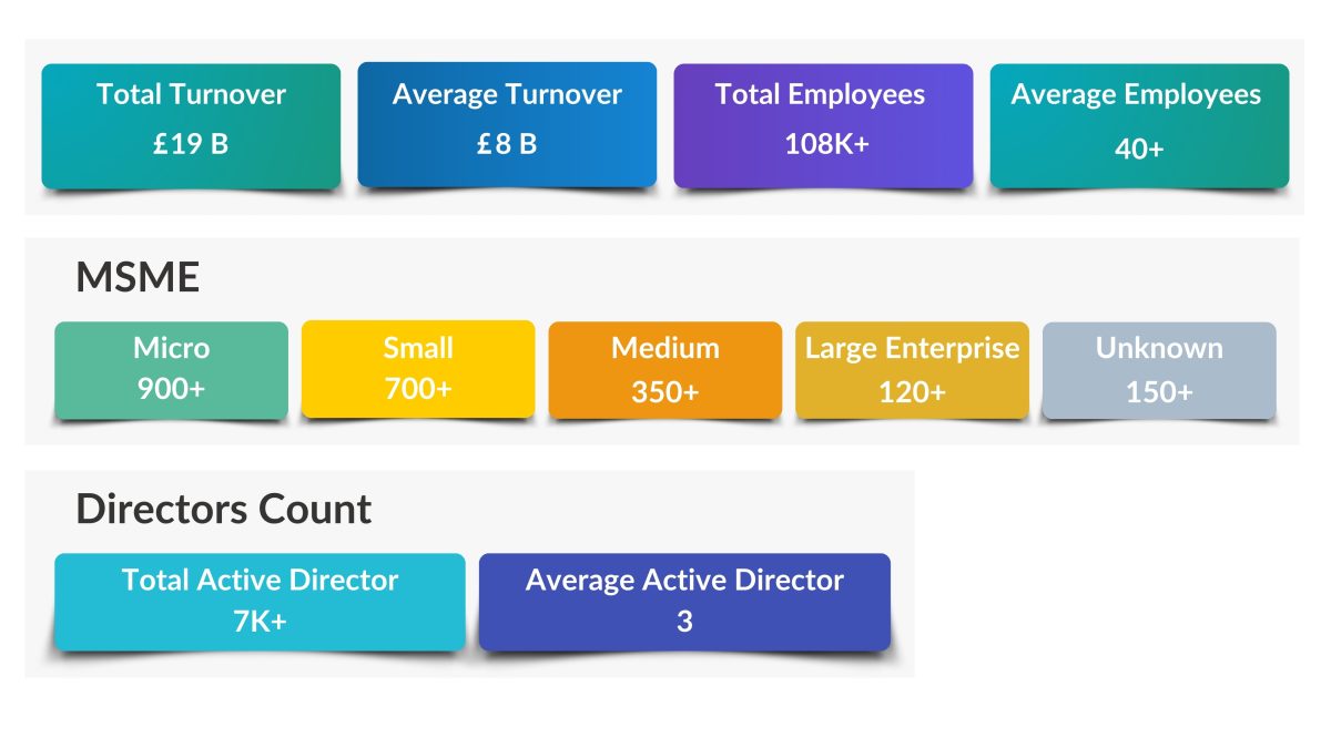 Key Insights of B Corp-certified Companies