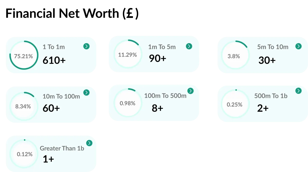 Financial Net Worth (£) Company Data