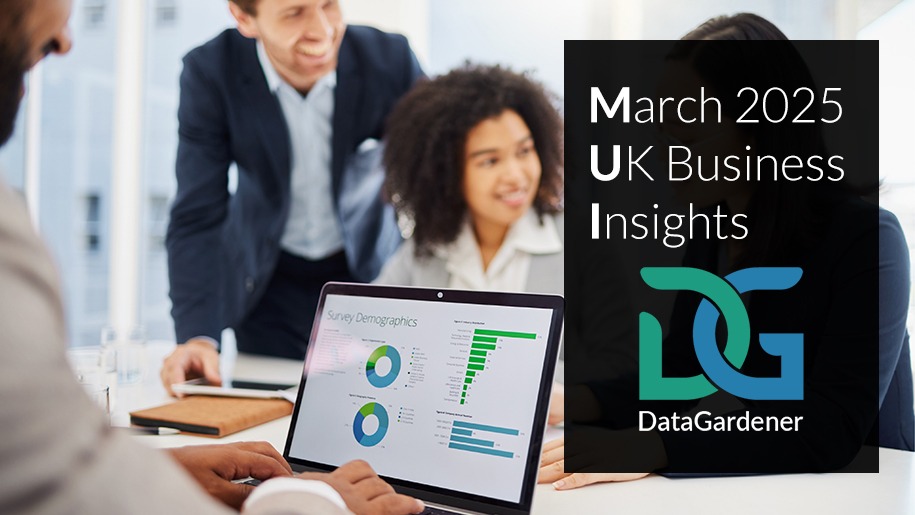March 2025 UK Business Insights