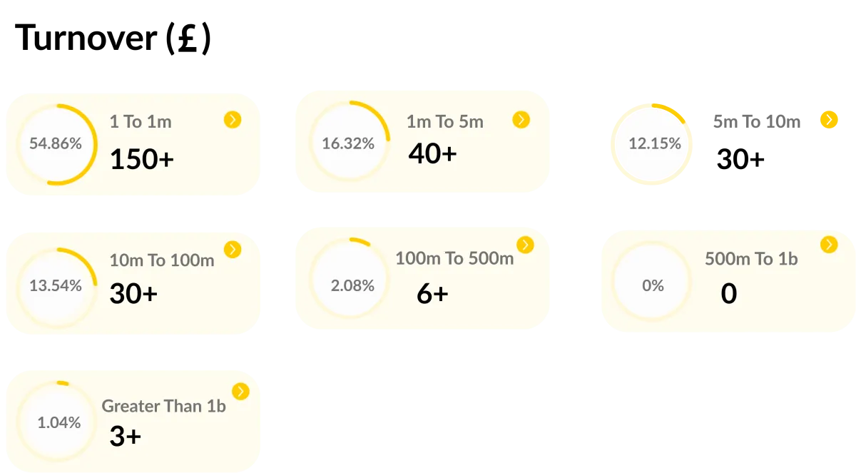 Turnover (£) Data