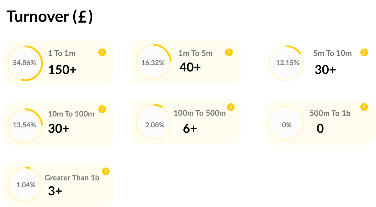 Turnover (£) Data