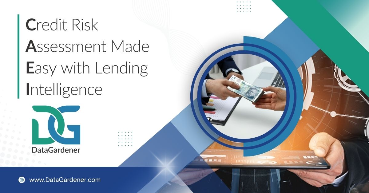 Credit Risk Assessment