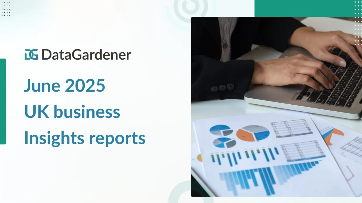 June 2025 UK Business Insights Reports