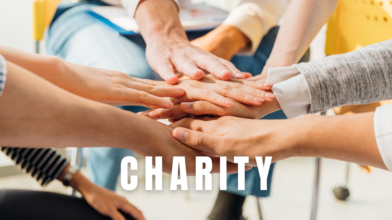 Boosting Charity Business Fundraising Using DataGardener