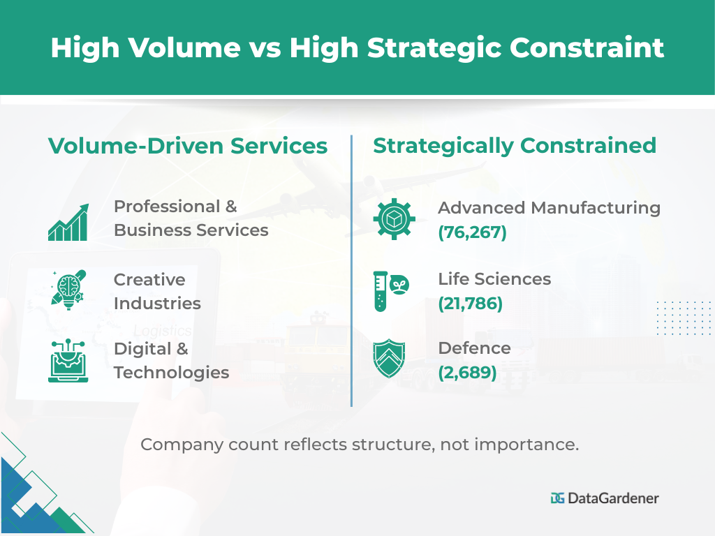 High Volume vs High Strategic Constraint
