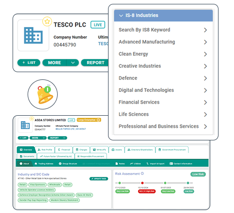 Explore-IS‑8-companies-and-sectors