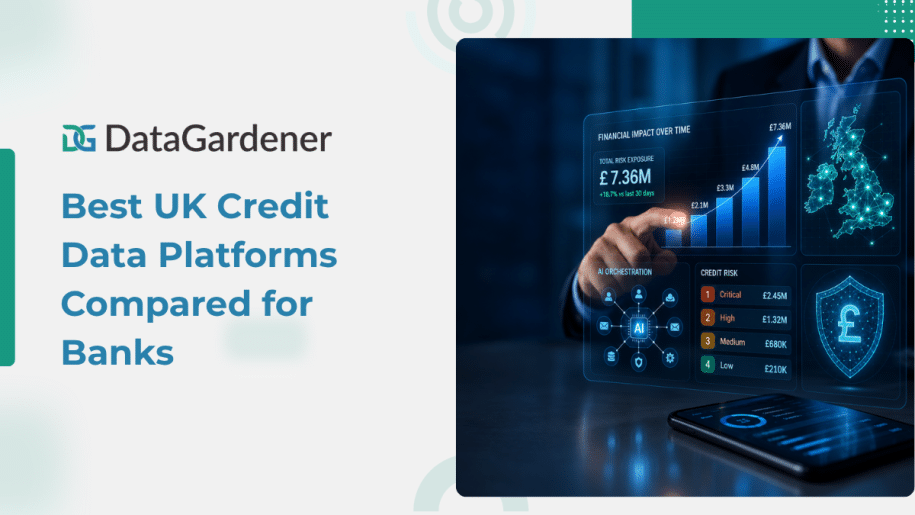 Best UK Credit Data Platform Compared with Banks
