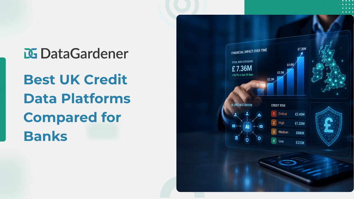 Best UK Credit Data Platform Compared with Banks